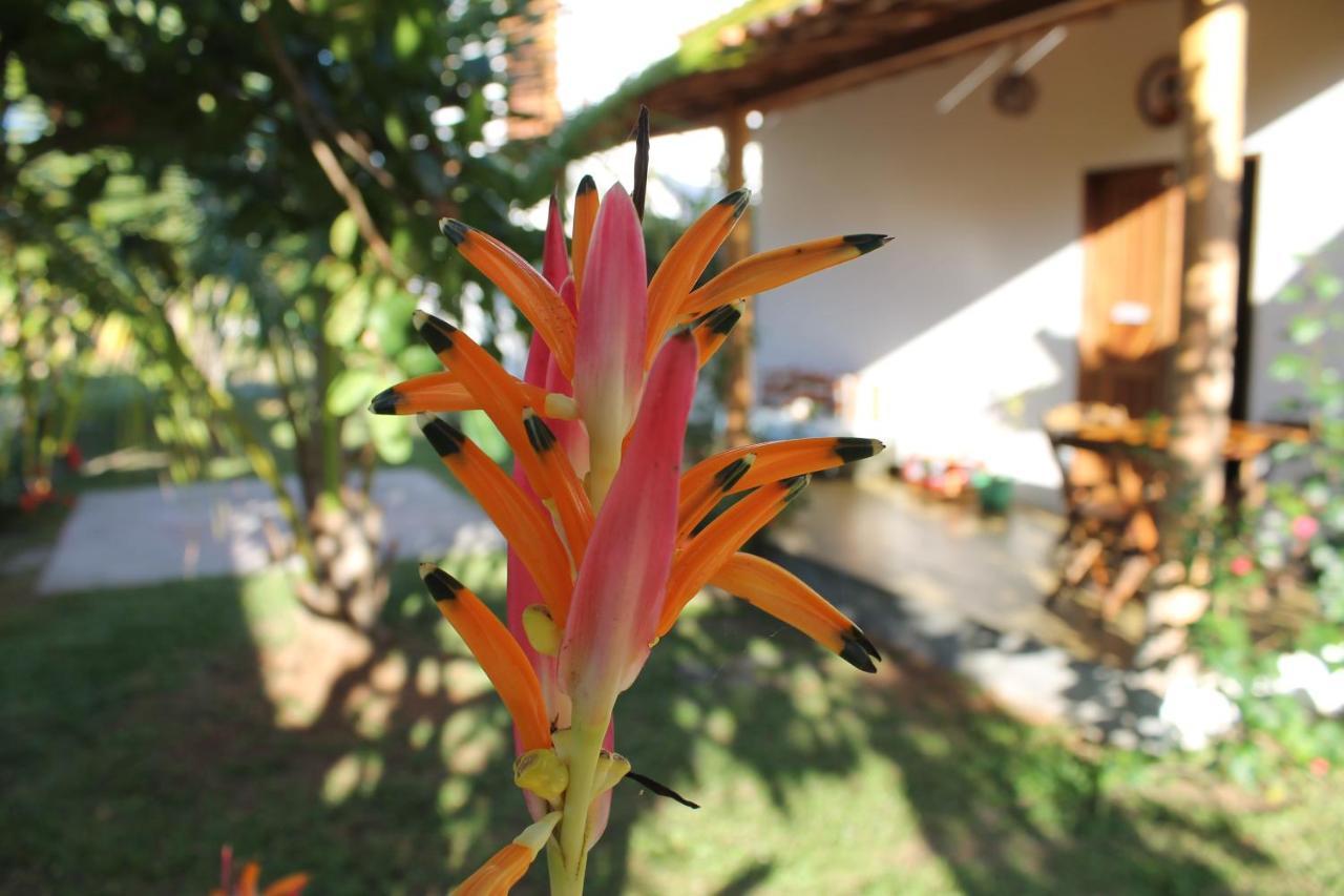 Family Guest House Velha Boipeba Eksteriør billede
